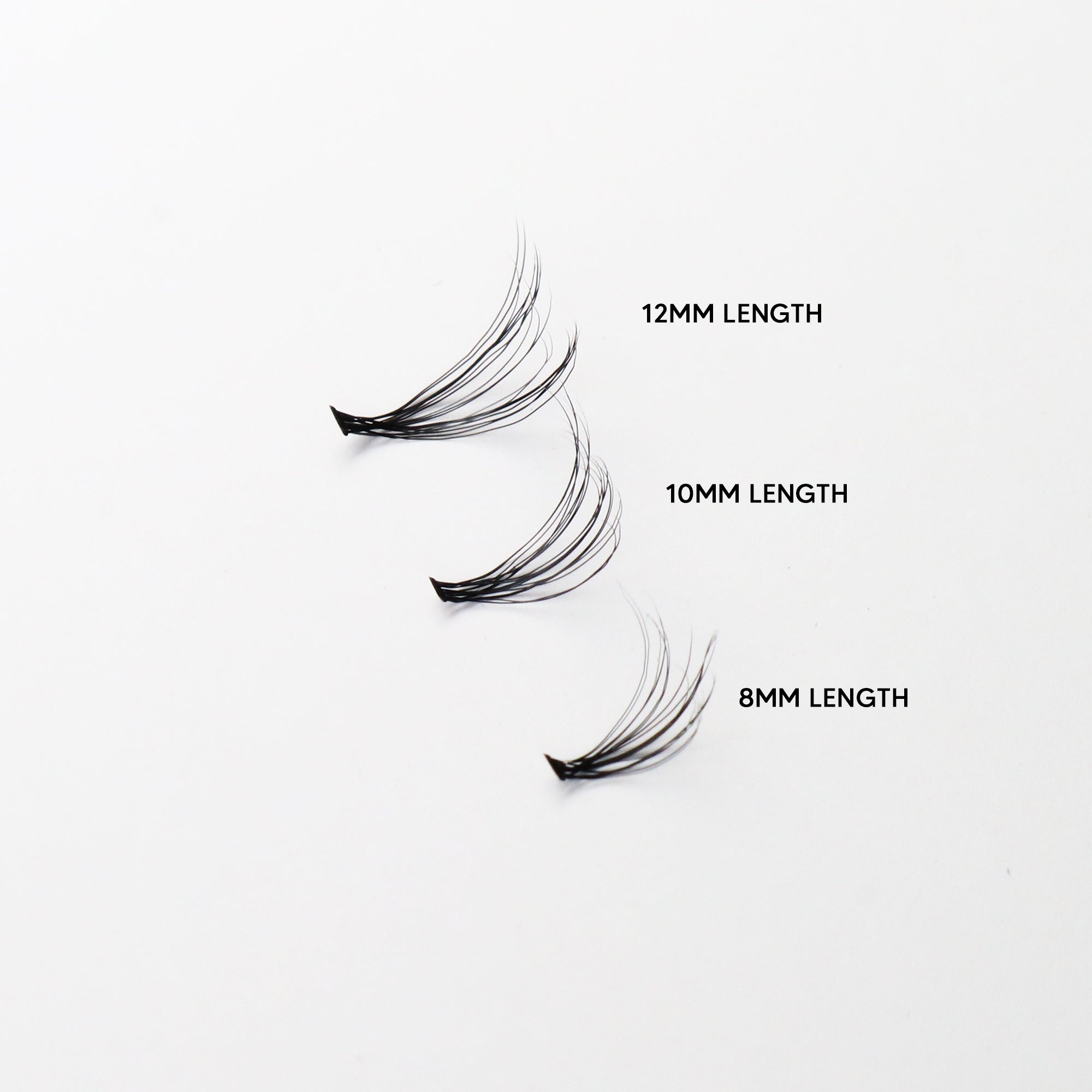 20 Inch Lashes Individual Lashes | 8mm, 10mm, 12mm | C-Curl | 20D โ xoBeauty