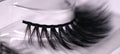 Faux Mink Lashes "Panther"